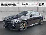 Alfa Romeo Giulia Quadrifoglio Oro AKRAPOVIC+SPORTP.+CARBON - Alfa Romeo Giulia Akrapovic Gebrauchtwagen