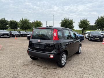 Bild 5 Fiat Panda Mild Hybrid 1.0 DAB Spurhalteass. Verkehrs