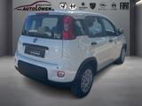Fiat Panda 1.0 Mild Hybrid Pandina Cross (EURO 6e) - Fiat Panda: Pandina