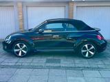 Volkswagen New Beetle Cabriolet TSI  1.2 - VW New Beetle von privat
