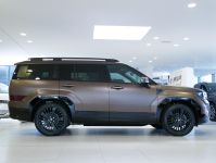 Hyundai SANTA FE - Vorschau Bild 13