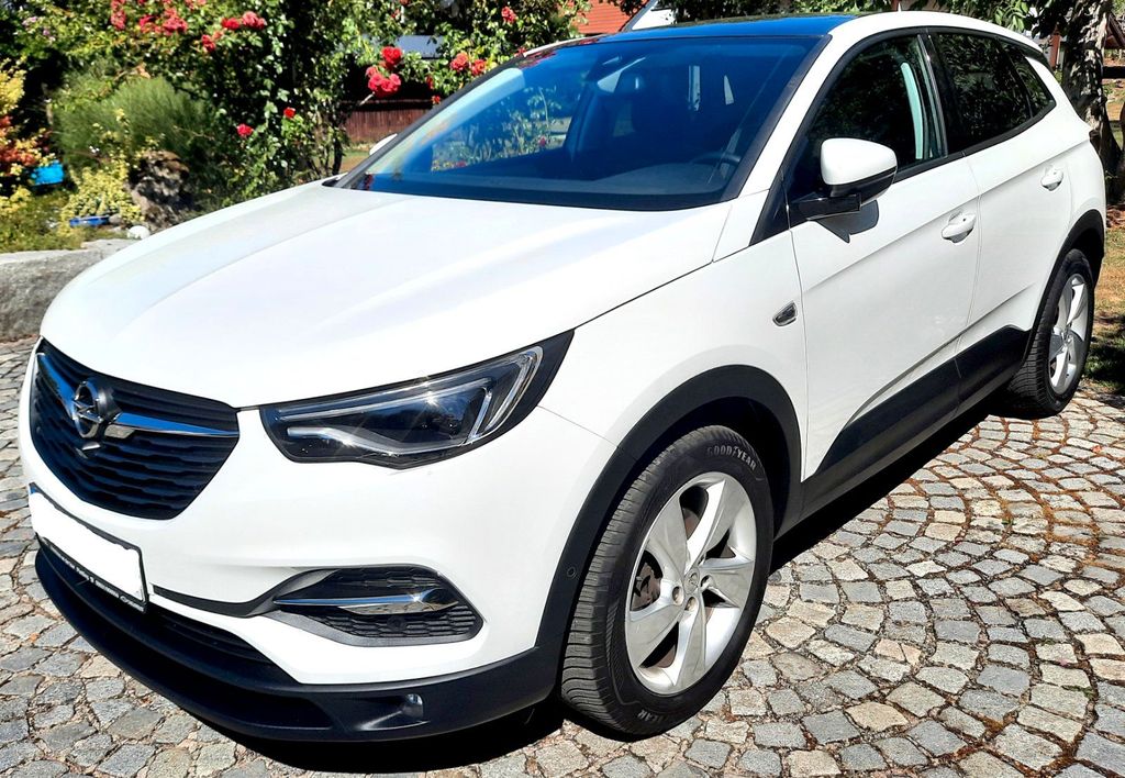 Image of Opel Other