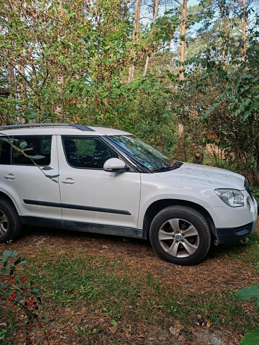 Skoda Yeti 2010 — rear view