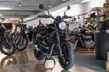 Royal Enfield Guerrilla 450 ABS, Euro 5 +, Lieferservice - NAKED BIKE VON 251 BIS 500 CCM