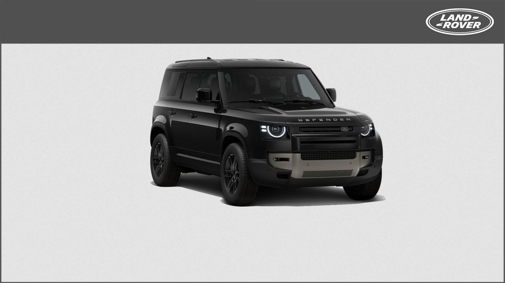 Land Rover Defender 110 D200 S ACC Meridian AHK Winter