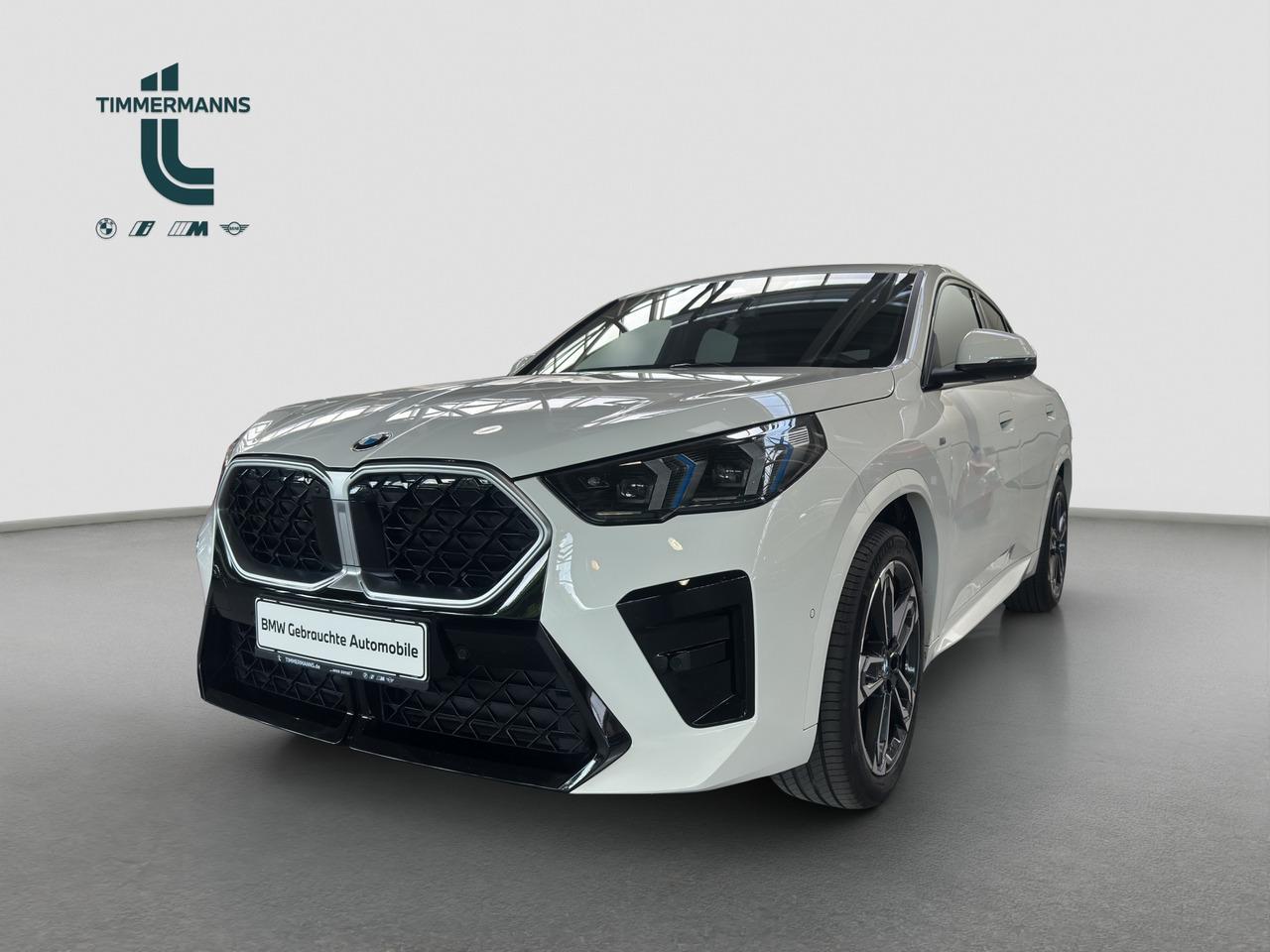 BMW X2 xDrive20d M Sport AdLED AHK DrAss+ HUD