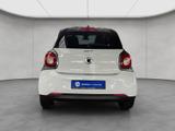 Smart forfour twinamic passion Pano - Smart ForFour Gebrauchtwagen in Stuttgart