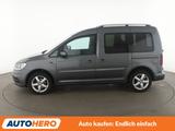 Volkswagen Caddy 2.0 TDI Trendline BM Aut.*XENON*ACC*PDC*SH - VW Caddy Gebrauchtwagen in Köln