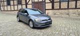 Volkswagen Golf VII Lim. Comfortline 4Motion - mit Diesel-Antrieb: Grau, Alcantara, Spurhalteassistent