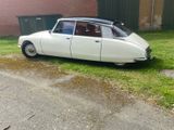 Citroën DS - Citroën DS aus 1973