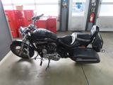 Harley-Davidson Sportster XL1200CC - HARLEY-DAVIDSON SPORTSTER XL 1200 C