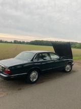 Jaguar XJ8 3,2 L Brit. Racing Green - Jaguar mit LPG-Antrieb