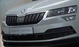 Skoda Karoq Style Seda Steel! Stahl Grau! - Skoda Karoq in Chemnitz
