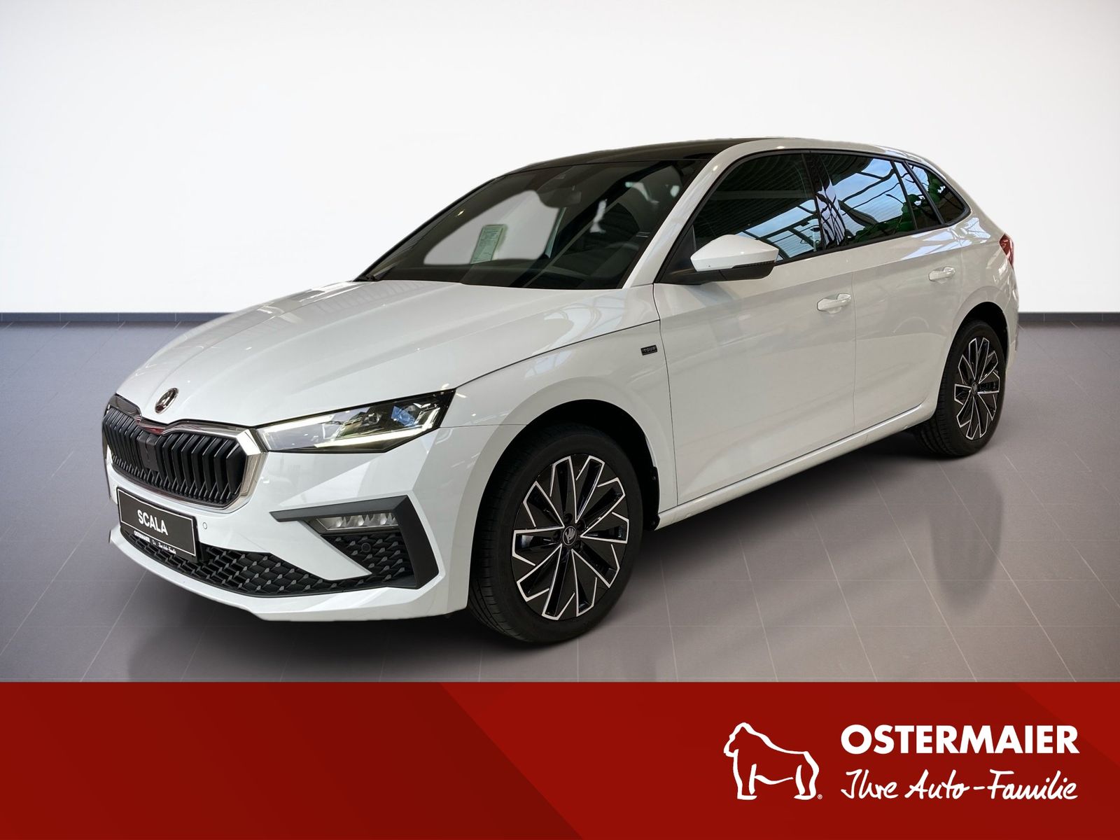 Skoda Scala Tour 1.5TSI LED.DSG.PANO.LaneA.AHK-VORB.PD