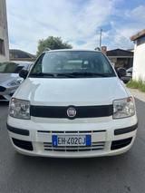 Fiat Panda 1.2 Emotion - Fiat Panda Emotion mit Benzin-Antrieb