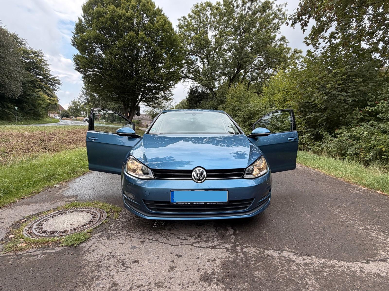 Volkswagen Golf 2013 — photo 8