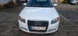 Audi Sehr gepflegter Audi A4 2.0 Benzin - Audi A4 aus 2007: 2.0