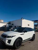 Andere Range rover evoque SD4 R Dynamic vollausge... - Andere in Köln