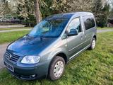 Volkswagen VW Caddy Life TDI - Volkswagen Caddy: Kleinwagen