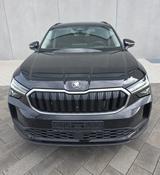 Skoda Kodiaq 2.0 TDI DSG Selection Selection - Skoda Kodiaq aus 2025