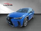 Lexus UX 300h F-SPORT-D.*SOFORT *15JH-GARANTIE* - gebrauchte Lexus UX aus dem Jahr 2024