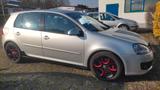 Volkswagen Golf 5 2.0 GTI 1K FSI Turbo Ledersitze  - Volkswagen Golf: GTI Turbo