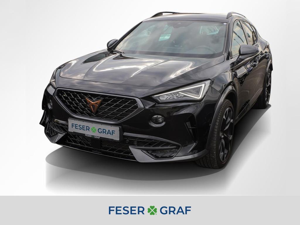 Cupra Formentor VZ 2.0 TSI DSG Navi Kamera ParkAssist