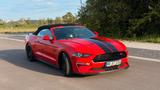 Ford Mustang GT 5.0 V8 Cabrio Premium - gebrauchte Ford Mustang aus dem Jahr 2021