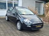 Fiat Punto Pop*Panoramadach*Sitzheizung*Klima* - gebrauchte Fiat Punto aus dem Jahr 2014