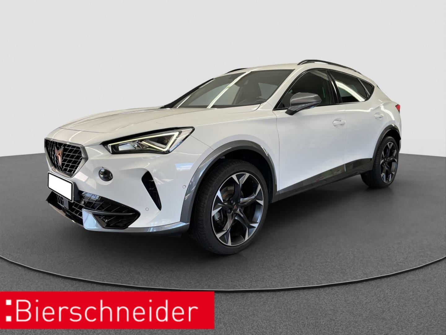 Cupra Formentor 2.0 TDI NAVI BEATS REAR VIEW SHZ