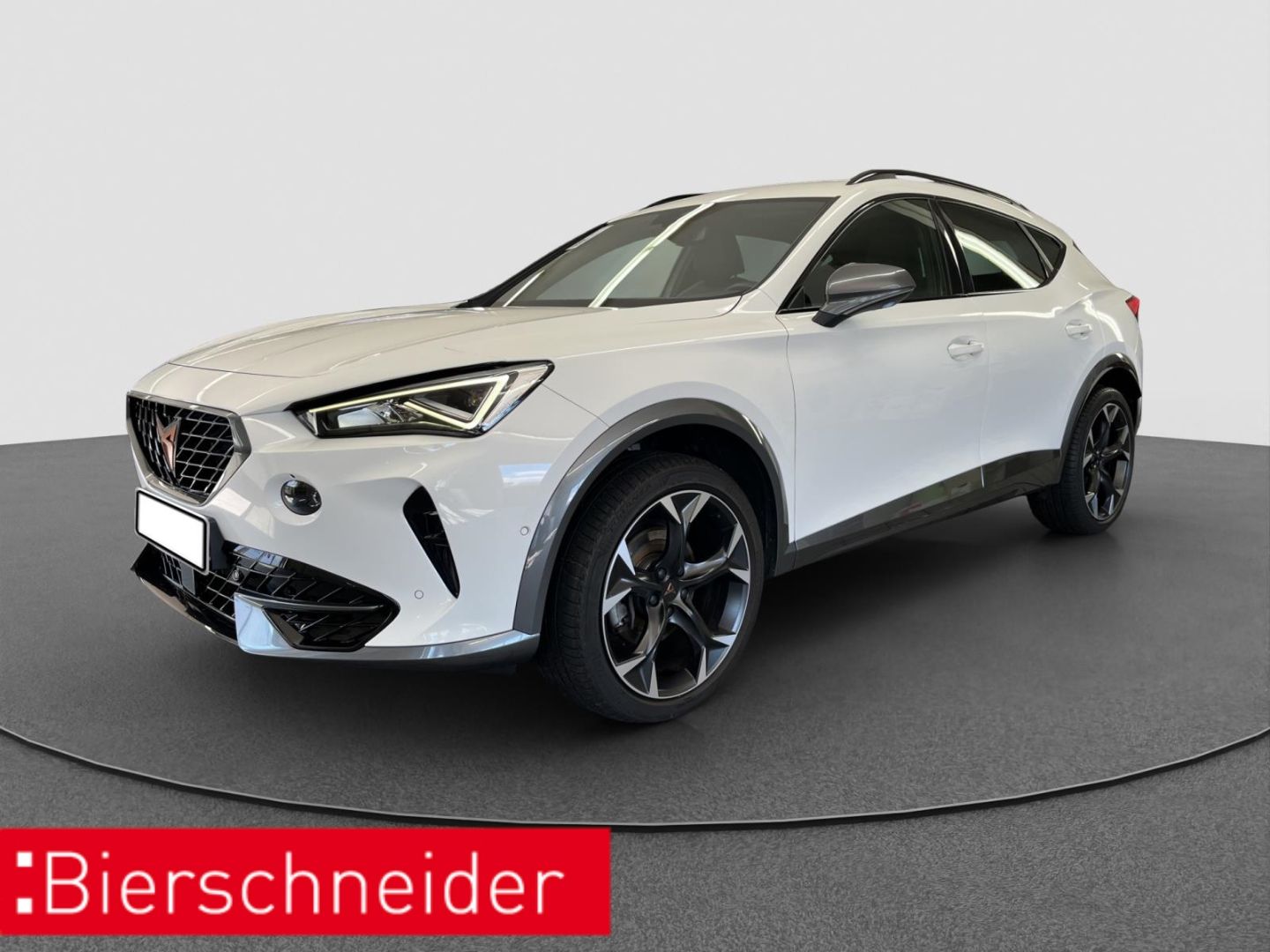 CUPRA Formentor 2.0 TDI NAVI BEATS REAR VIEW SHZ