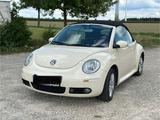 Volkswagen VW New Beetle Cabrio 2.0 - Volkswagen New Beetle aus 2008
