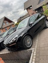 Porsche  Cayenne Diesel Platinum Edition Approved 12/25 - Porsche Cayenne in Dortmund