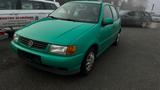 Volkswagen Polo1,4*AUTOMATIK*KLIMA*TÜV 12/26*ALLWETTERREIF - Volkswagen Polo aus 1997