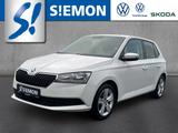 Skoda Fabia 1.0 MPI Kinders. Vorb.USB Spieg. beheizbar