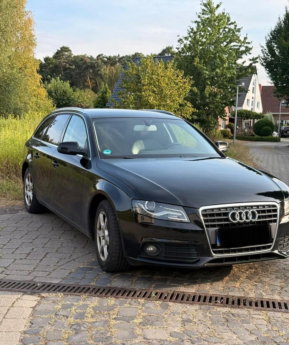 Audi A4 2010 — вигляд ззаду