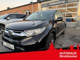 Honda CR-V 2.0 i-MMD 4WD Executive AHK schwenkbar - gebrauchte Honda CR-V aus dem Jahr 2023