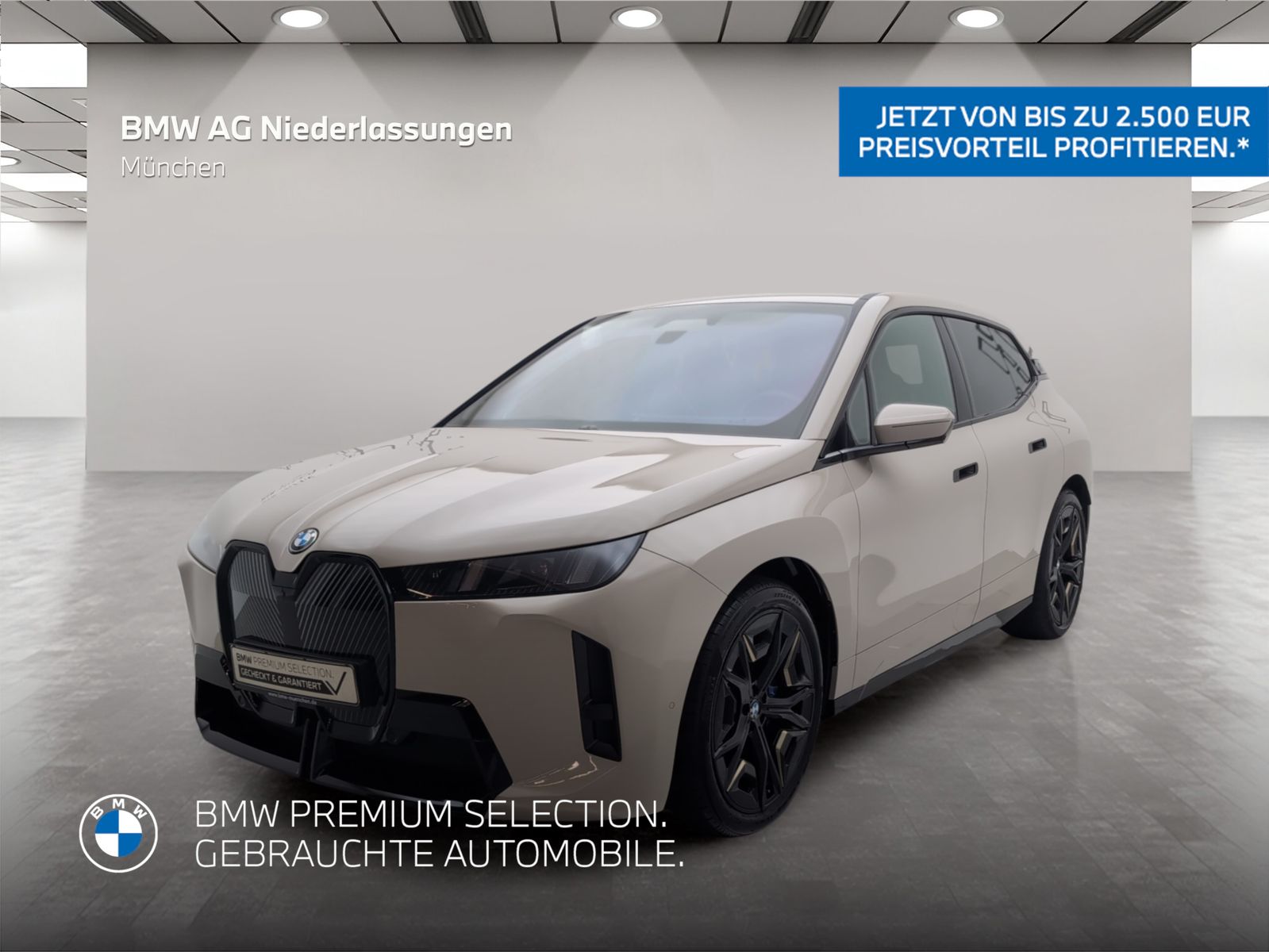 BMW iX xDrive45 M Sport AHK Driv.Assist.Prof Kamera foto 1