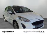 Ford Fiesta 1.0 EcoBoost / Navi, Park Assist, SHZ