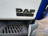 DAF 55,180 Klima , && mit motorschaden && - Angebote entsprechen deinen Suchkriterien