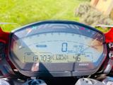 Ducati Monster 821  *Zahnriemen NEU!* - DUCATI MONSTER 821