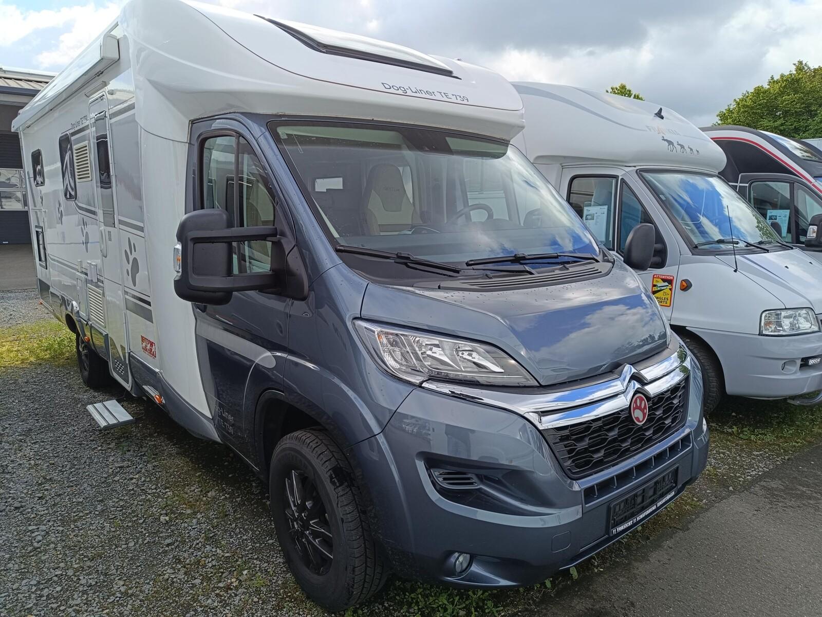GiottiLine Therry T37 Dog-Liner TE 739