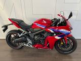 Honda CBR650R E-Clutch Tiefergelegt, Sturzpads - HONDA CL