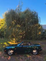 Mazda Mx5 Na komplettrevidiert - gebrauchte Mazda MX-5 aus dem Jahr 1997