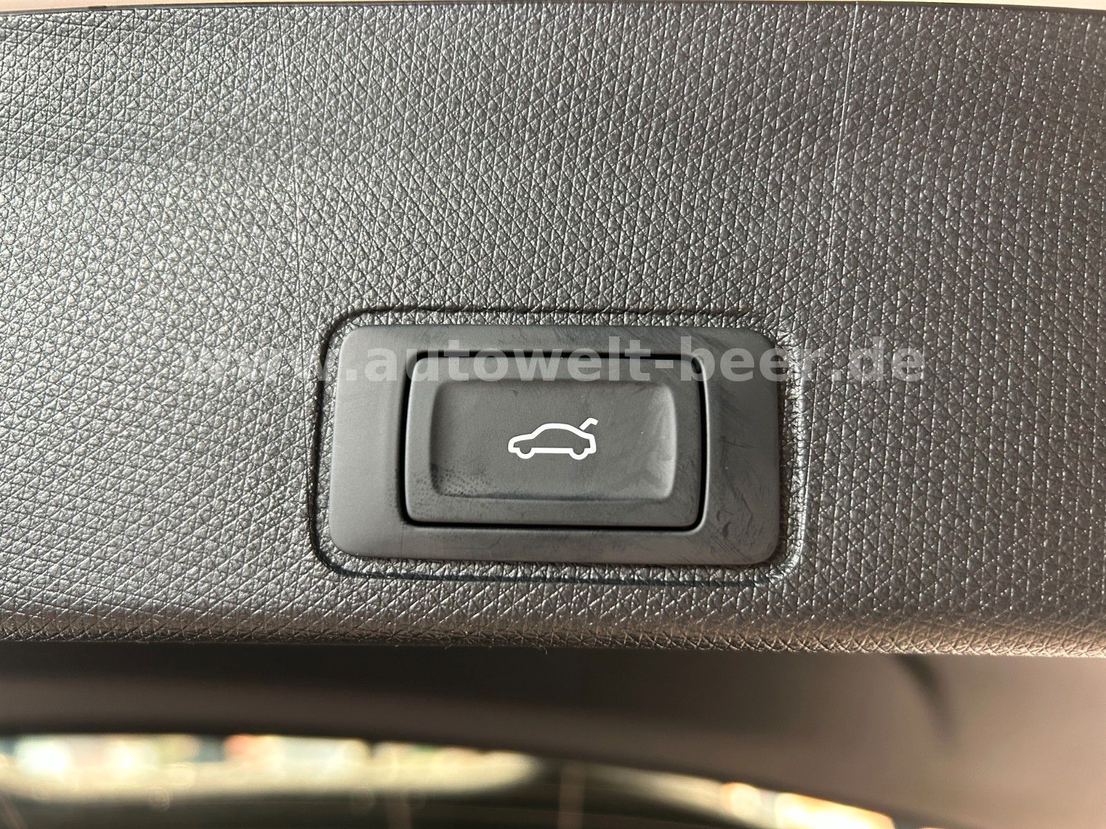 Cupra Terramar - Bild 24