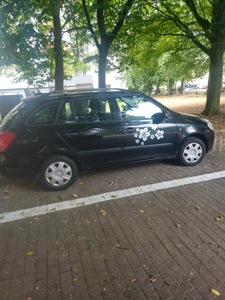 Skoda Fabia 2009 — photo 5