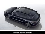 Porsche Cayenne E-Hybrid Sportabgas BOSE Luftfederung - Porsche Cayenne