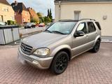 Mercedes-Benz Mercedes ML55 AMG  LPG - Mercedes-Benz mit LPG-Antrieb: Geländewagen