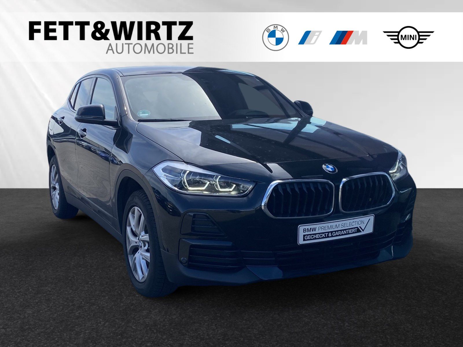 BMW BMW X2 sDrive18i 18" PA Navi DAB