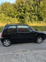Volkswagen Lupo 1.0 TRENDLINE Trendline - Volkswagen Lupo in Essen